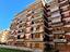 Immagine 7