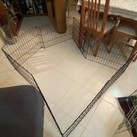 Recinto da interno per cuccioli o cani di piccola