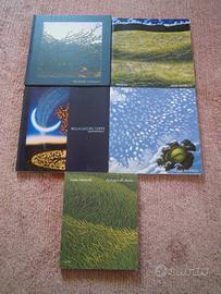 Giulio MOTTINELLI pittore 8 volumi