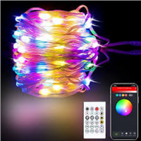 Catena di luci led di Natale wifi