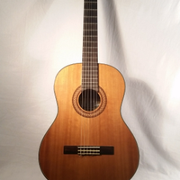 Chitarra Santos Martinez SM80