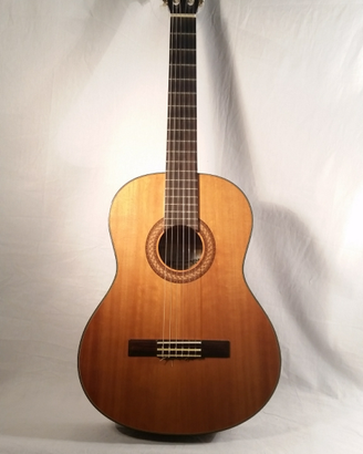 Chitarra Santos Martinez SM80