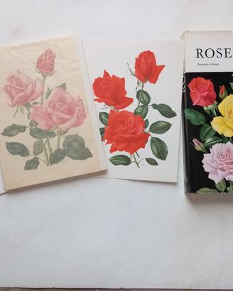 Secondo volume Rose 