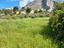 Immagine 10