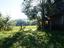 Immagine 14