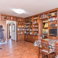Libreria in legno massello color noce