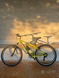 Bicicletta