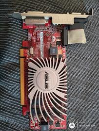 Scheda Video ASUS Radeon HD5450 2GB HDMI Dvi