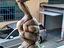 Immagine 5