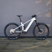 E-MTB Raymon Korak Pro