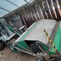 Raccolta olive-noci-castagne