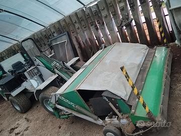 Raccolta olive-noci-castagne