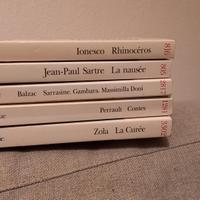 Classiques de la littérature française 📚