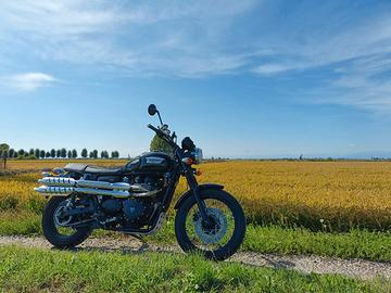 Triumph Scrambler 900 EFI