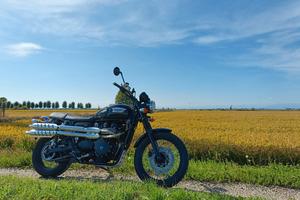 Triumph Scrambler 900 EFI