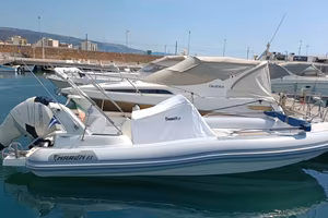 Marlin boat top 23 FB