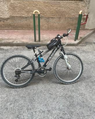Bici adriatica