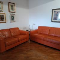 divanoletto 2 posti  e divano 3 posti  in PELLE