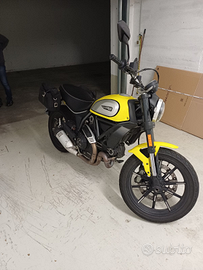 Ducati scrambler 800 icon