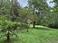 Immagine 13
