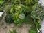 Immagine 19
