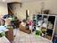 Immagine 15