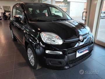 Fiat Panda 1.0 FireFly S&S Hybrid Icon
