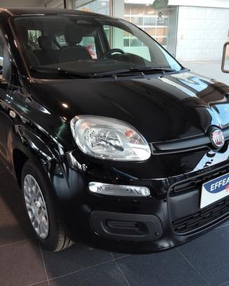 Fiat Panda 1.0 FireFly S&S Hybrid Icon