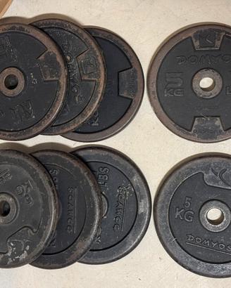 Dischi decathlon 5kg