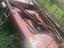 Immagine 5