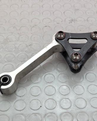 LEVERAGGI FORCELLONE TRIUMPH STREET TRIPLE 675 200