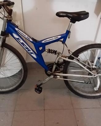 mountain bike  