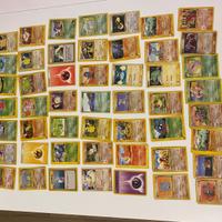Collezione di carte POKEMON