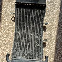 Radiatore Mito Fari Tondi