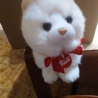 Peluche gattino bianco