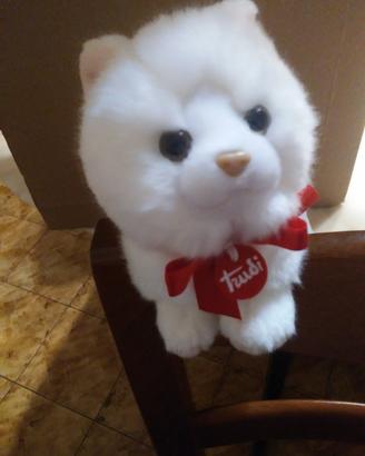 Peluche gattino bianco