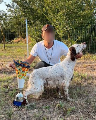 Setter per Monta