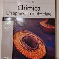 CHIMICA - UN APPROCCIO MOLECOLARE