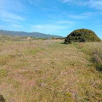 Soleminis terreno agroseminativo