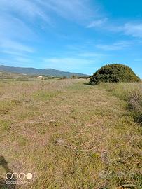 Soleminis terreno agroseminativo