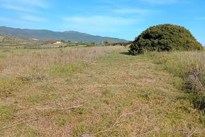 Soleminis terreno agroseminativo