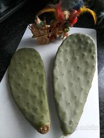 Pale di fico d'india 2pz