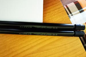 Pistoncini portellone posteriore Golf 5