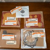 Set guarnizioni CVO 110