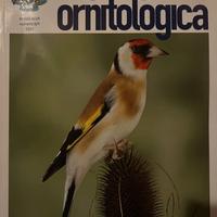 Rivista Italia Ornitologica. Canarini, esotici.