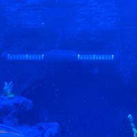 pompe ecp jebao ECP 120 wireless gyre