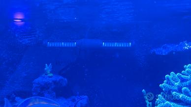 pompe ecp jebao ECP 120 wireless gyre