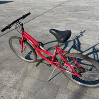 Bicicletta 26°