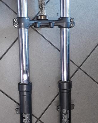 forcella 41 Paioli Derbi DRD 125 04