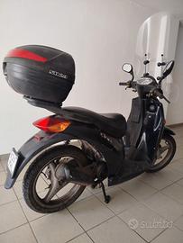 Malaguti 50cc 